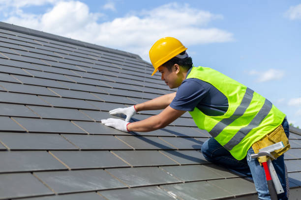 Best Roof Gutter Cleaning  in Avenue B And C, AZ